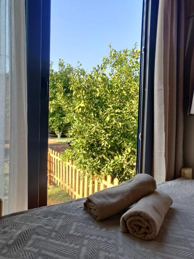 Gaia Tiny Houses Butik Hotel Bodrum Exterior photo